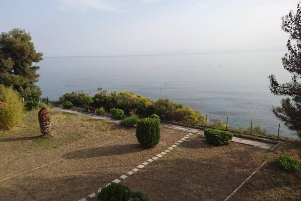 Sunshine House Offering Spectacular Views To Olymp A Appartement Nea Iraklia Buitenkant foto