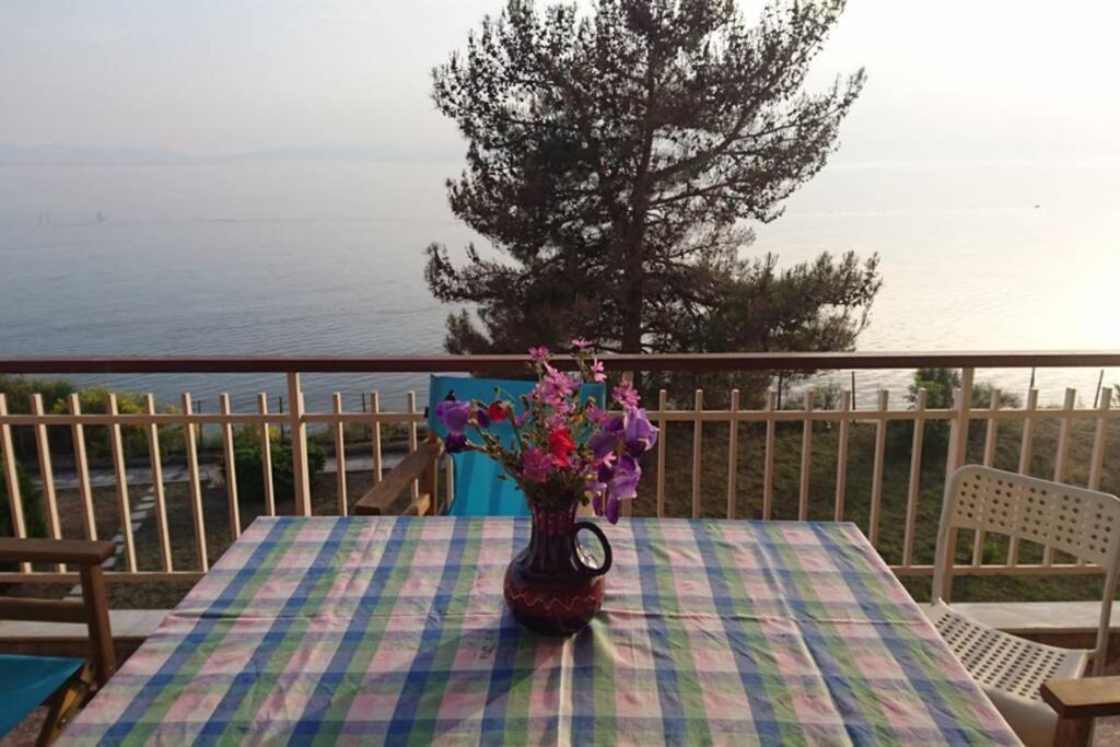 Sunshine House Offering Spectacular Views To Olymp A Appartement Nea Iraklia Buitenkant foto