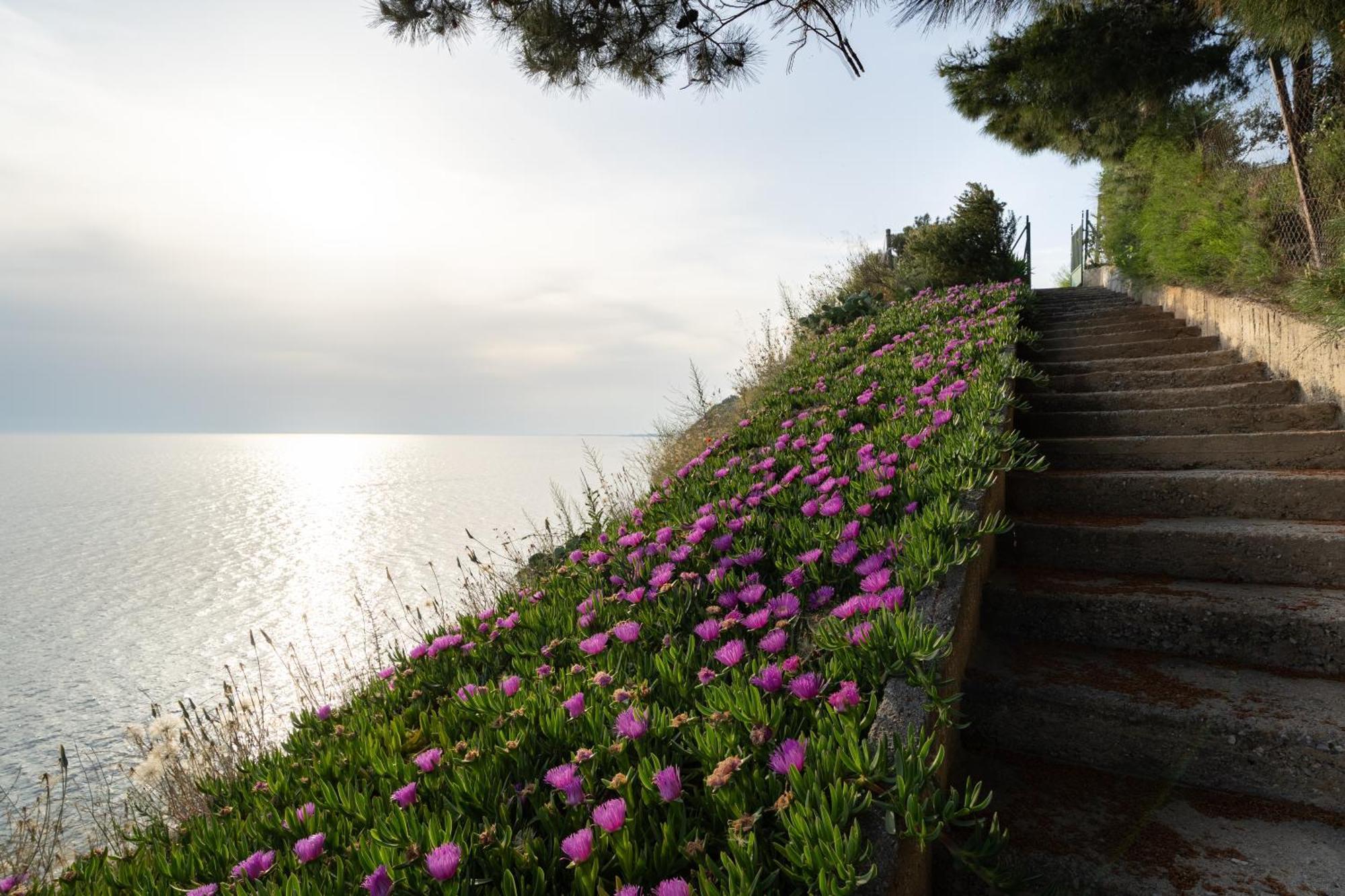 Sunshine House Offering Spectacular Views To Olymp A Appartement Nea Iraklia Buitenkant foto